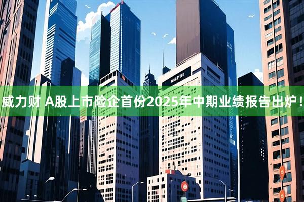 威力财 A股上市险企首份2025年中期业绩报告出炉！