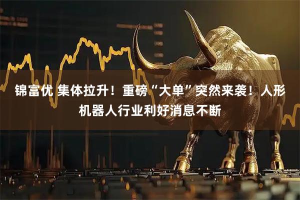 锦富优 集体拉升！重磅“大单”突然来袭！人形机器人行业利好消息不断