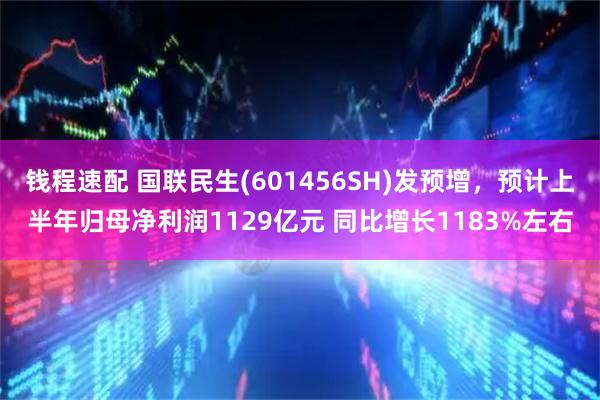 钱程速配 国联民生(601456SH)发预增，预计上半年归母净利润1129亿元 同比增长1183%左右