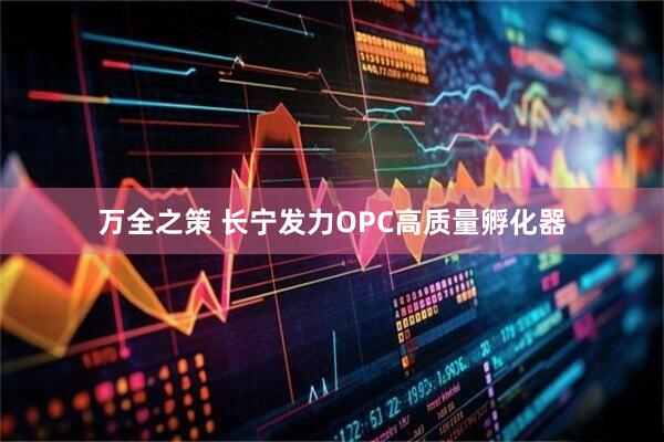 万全之策 长宁发力OPC高质量孵化器