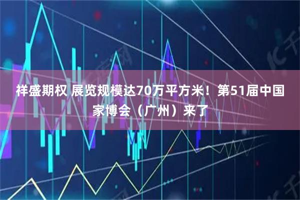 祥盛期权 展览规模达70万平方米！第51届中国家博会（广州）来了