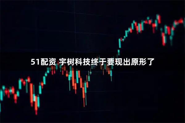 51配资 宇树科技终于要现出原形了